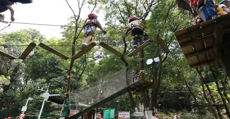 ab403890e4624153ba66e8e45366315.jpg